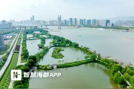 品茗、观鸟、赏花……福州花海公园焕新“上线”图片