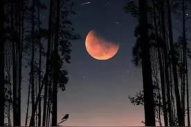 深夜抚慰心灵的人生金句，句句都是金石良言，帮助你成长图片