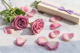 七夕情人节致亲爱的你：见或不见，一生想你图片