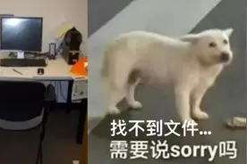 桌子乱的人都是有创造力的天才？什么？你连文件放哪都找不到……图片