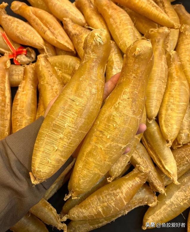 花胶 菜胶 药胶 2026年花胶搭配药材的功效 花胶 菜胶 药胶 2026年花胶搭配药材的功效