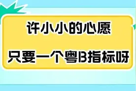 来啦！数量公布！图片
