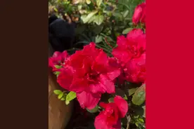 盲人推拿师图片