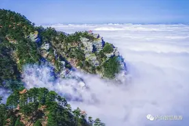 【春服既成 景物斯和】陶渊明诗词中的庐山田园美景正当时图片