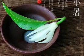 小暑将至，消暑“3宝”提前准备好！每天吃点，应季而食顺利入伏图片