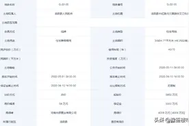 汤阴县城东核心地段两块宅地网拍，全部溢价成交图片