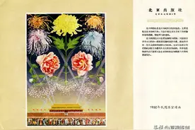 怀旧绘画选：五十年代的周历中的宣传画图片
