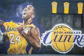 科比(KOBE)复活计划 是 怎么回事？图片