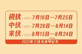 三伏天吃羊肉烧酒竟是上海人的习俗？魔都哪里的羊肉最正宗？懂经的老克勒已前去报到图片