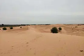 中国人种树有多厉害？面积相当于8个韩国的毛乌素沙漠，重现绿洲图片