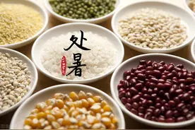 秋季饮食宜清淡，多吃这3种白色食物，顺利度过秋天图片