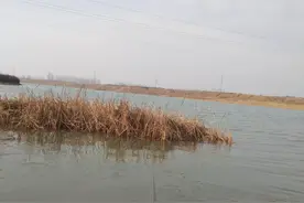 斗胆给一个老手指导调漂，效果立竿见影，比自己上鱼还有成就感图片