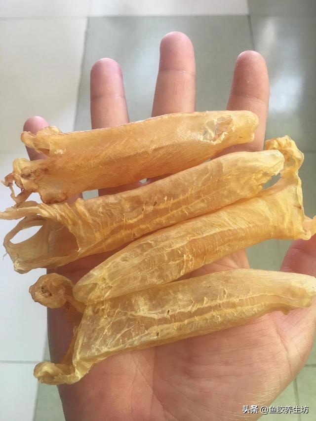 超市卖的花胶是假的吗 2026年超市卖的花胶是假的吗安全吗 超市卖的花胶是假的吗 2026年超市卖的花胶是假的吗安全吗
