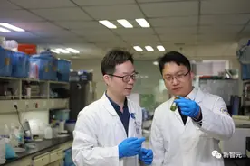 浙大重磅研究登Nature：人类也能“光合作用”，衰老细胞返老还童图片