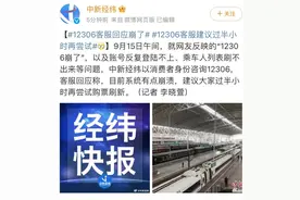 12306客服回应系统崩了：建议过半小时再尝试图片