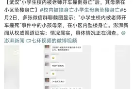 悲伤逆流成河！孩子头七，妈妈也走了图片
