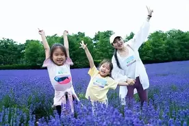 上海版普罗旺斯！薰衣草花海紫色浪漫，空气都是甜香的图片