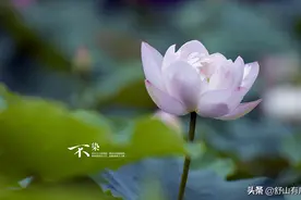 老了才看透，人这一生，风水轮流转，一切报应会不期而至图片