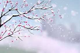 夫妻也好情人也罢，关系再好，也不能说三种话图片