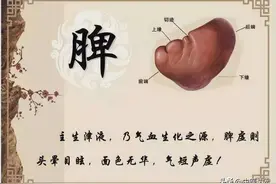 万病归于脾，中医教你分辨7种脾虚，正确使用健脾中成药图片