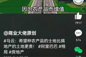 论马云对土地政策的言论对错？图片