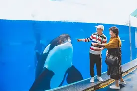 上海海昌海洋公园明起恢复运营；国考笔试延期；担心做核酸时交叉感染？专家回应图片