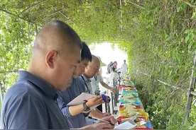 第九届中国（武清）北方鲜食玉米大会举行 200多家产业链企业踊跃参展图片