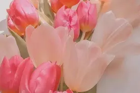 宠辱不惊，有狠劲却不失正义感的星座，不被招惹就不会报复你图片