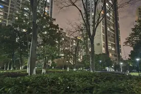 肝气郁结在哪里？总体分类？图片