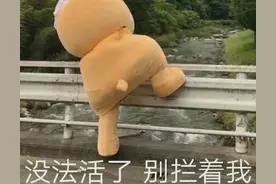 表情包｜没法活了，别拦我图片