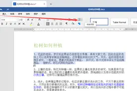 Speedoffice（word）如何修改行间距和段落间距图片