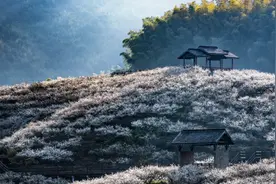 04.25《星空朗读》，赴一场诗和远方，兴向未来的约会！图片
