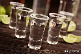 龙舌兰，进口烈酒下一个风口？图片