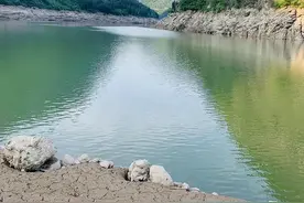 广东男子山中钓获奇鱼，草鱼身鲤鱼头，男子担心是保护动物不敢吃图片