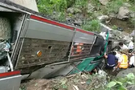 尼加拉瓜6人被蜂蜇后遇难！公交坠崖撞蜂巢，皮肤上满是“针眼”图片