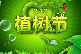 3月12日植树节的由来和意义图片