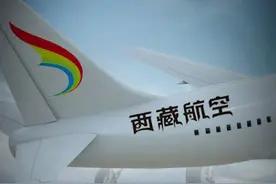 西藏航空航班起火：老板为三利地产严伟，机型与《中国机长》相同图片