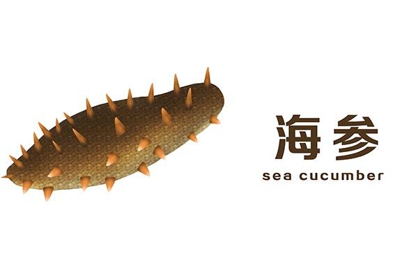 海参是不是每个人都适合吃 2026年海参适合所有人吃吗