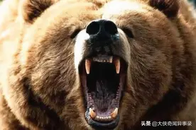 动物吃人事件：近三米巨熊咬死7人(丧生胸腹)图片