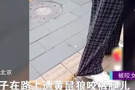 北京一美女被黄鼠狼咬住裤腿不松手，说是偷了它的甜饼干图片