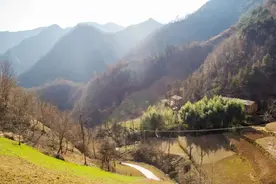 秦岭山中一栋一栋的老房子，不显山不露水，都有青青的翠竹守护着图片