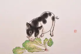 猪与白菜的故事图片