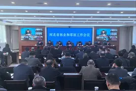 2025年河北绿色“家底”更殷实将完成营造林600万亩图片
