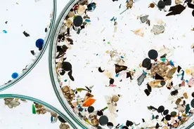 自我毁灭：人类粪便和血液中发现塑料微粒，霍金预言或许正在成真图片