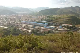 1960年除了挨饿还有上学要交老鼠尾巴图片