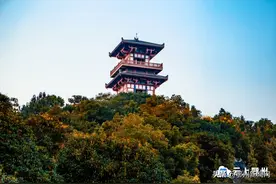 「鄂州史话 · 连载」天下樊山唯在鄂州——樊山札记之一图片