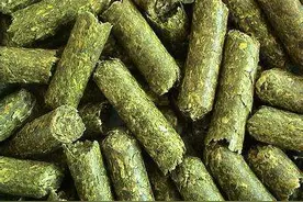 颗粒牧草饲料的加工利用及应用前景图片