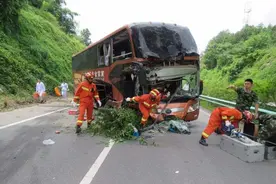 江西女导游车祸后失忆，梦中男子成心结，救命恩人何方神圣？图片