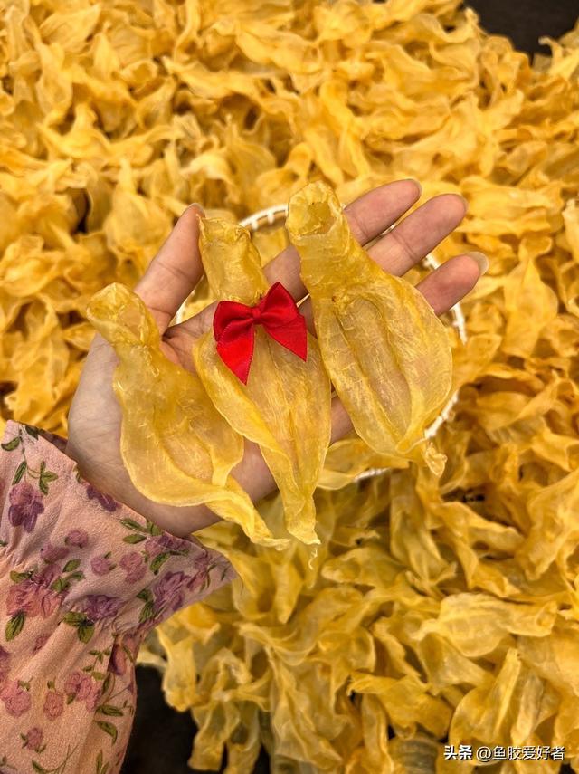 吃花胶是交智商税吗 2026年吃花胶是智商还是税