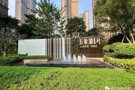美呆！五象湖奢阔豪宅竟然长这样图片